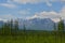 Forest, snowy mountains and clouds on blue sky - siberian alps