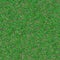 Forest Soil. Seamless Texture.