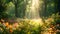 Forest in the spring with sunlight shining trough trees, Sunny magical forest in the rays of the rising sun in the