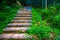 Forest Stairway of Shisun China