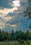 Forest and stormy sky before a violent storm