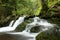 forest stream flowing down from the mountains a brook among deciduous trees slope of mountain pradziad is highest peak eastern