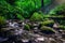 Forest stream running over mossy rocks