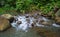 Forest stream among stones. Clean cold water stream in mountains.