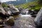 Forest stream surrounded by vegetation