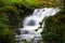 Forest stream waterfall surrounded by vegetation running