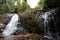 Forest stream waterfall. Waterfall mossy rocks