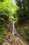 The forest stream which is flowing down from a mountain slope.