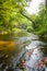 The forest streams and waterfalls