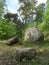 Forest in summer. Picturesque glade with large boulders in middle of coniferous and deciduous trees. Natural environment. Wild