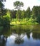 Forest, summer, sun, nature, lake.