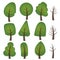 A forest of symbols for a green spirit - trees of various forms
