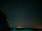 Forest with tall trees with starry sky in the background at night