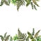 Forest tern watercolor wreath frame design with place for date and text. Bracken grass green border, Forest fern illustration.