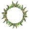 Forest tern watercolor wreath frame design with place for date and text. Bracken grass green border, Forest fern illustration.