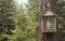 A forest tiny chapel with the Mother of God hung on the trunk of a large, old pine .