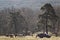 Forest track, mountain routes. Sierra de Guadarrama