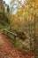 Forest trail in austria in autumn. In the Glasenbach gorge, near Salzburg city, Austria.