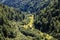 Forest trail in the Iezer Mountains in Romania