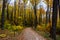 Forest trail in Pictured Rocks National Lakeshore, Munising, MI