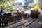 Forest train on railway with sakura in Alishan National Scenic Area