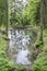 A forest tranquil lake into which flows a stream is blocked by a