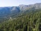 Forest and trees amongst roads at Lake Tahoe, Nevada