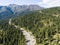 Forest and trees amongst roads at Lake Tahoe, Nevada