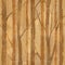 Forest with trees - decorative pattern - Interior wallpaper - seamless background