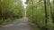 Forest, trees, dense vegetation, road cyclists,stroll, summer, outdoor recreation,intersection, road signs