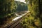 Forest trees and river along a railroad on a summer afternoon. Train tracks travel concept