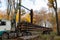 In a forest a truck crane moves logs onto the truck