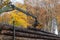 In a forest a truck crane moves logs onto the truck