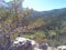 Forest valley and mountains with tree and rocks in foreground