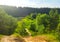 Forest valley under the sunlight with beautiful green trees. The forest road leads down.