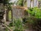 The forest vegetation of the summer forest absorbs the picturesque ruins