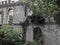 The forest vegetation of the summer forest absorbs the picturesque ruins