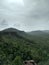 Forest views with green plants and rain bearing clouds in monsoon season from a mountain in indore india.