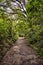 Forest Walk, Rotorua