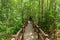 Into the Forest, Walkway to Emerald Pool or Emerald Lake.