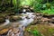 Forest waterfall