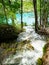 Forest waterfall descending between stones, moss and trees