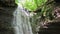 Forest waterfall falling on rocky cliff