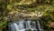 Forest waterfall in a mountainous area