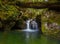 Forest Waterfall, Washington State