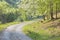 The forest way and the flowery cherry-tree in Little Carpathian hills - Slovakia