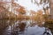 Forest wetland Merchants Millpond NC State Park US