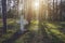 Forest with white Christian monument cross sign.