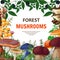 Forest Wild Mushroom Background