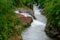 Forest wild river landscape in the amazon region, rapids stream water